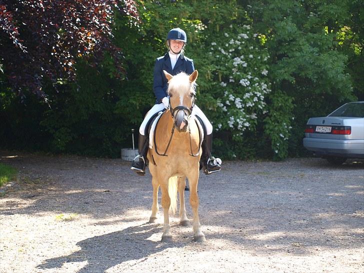 Sydjysk rideklub, rødekro - anne og lucky(: billede 101