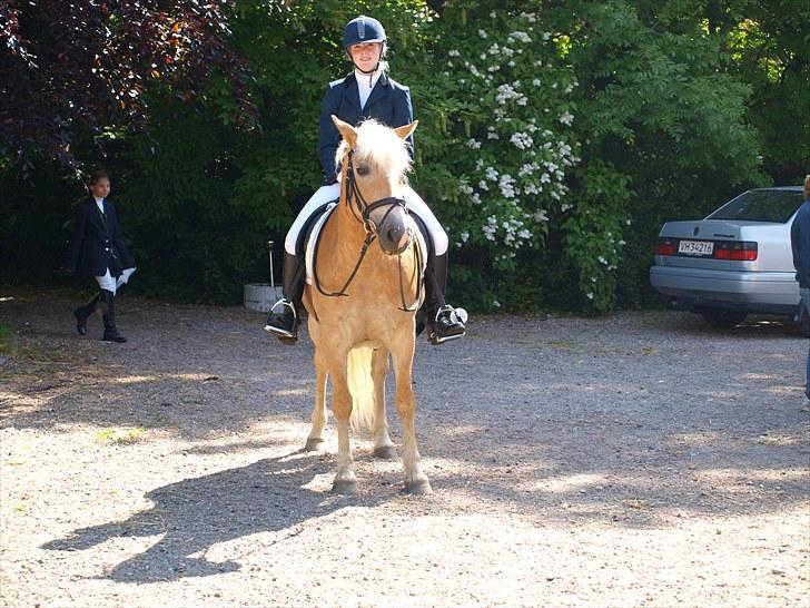 Sydjysk rideklub, rødekro - anne og lucky(: billede 103