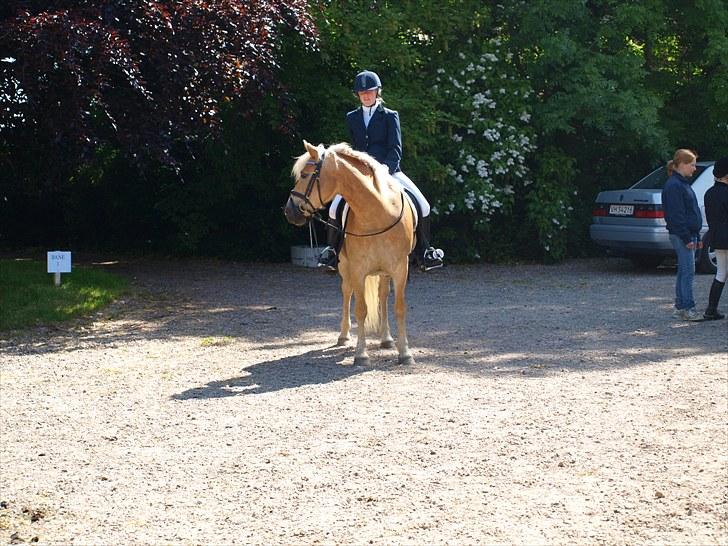 Sydjysk rideklub, rødekro - anne og lucky(: billede 104