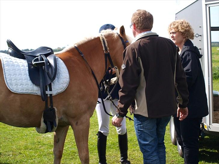 Sydjysk rideklub, rødekro - anne og lucky(: billede 106