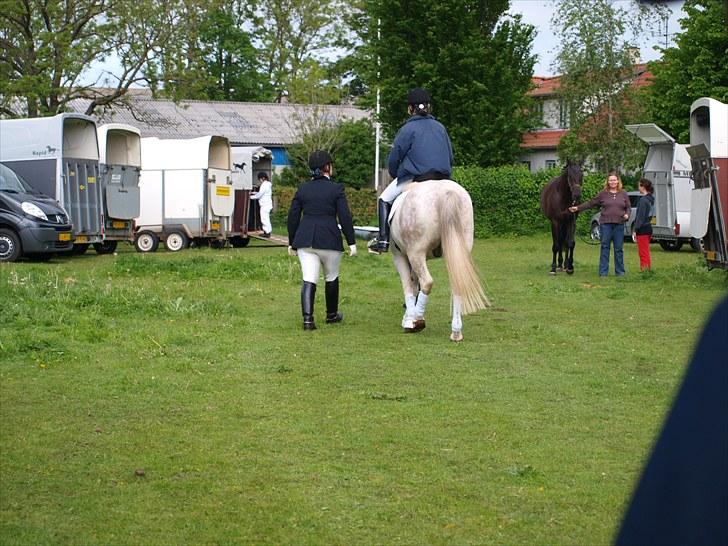 Sydjysk rideklub, rødekro - anne og lucky(: billede 116