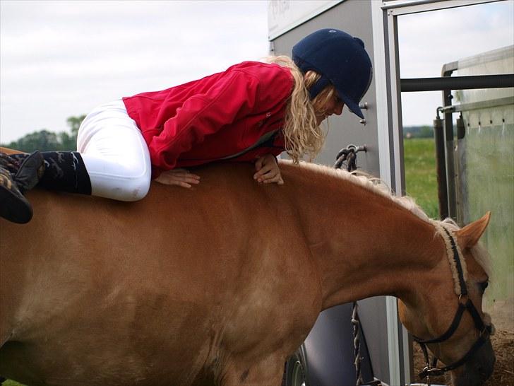 Sydjysk rideklub, rødekro - anne og lucky(: billede 117