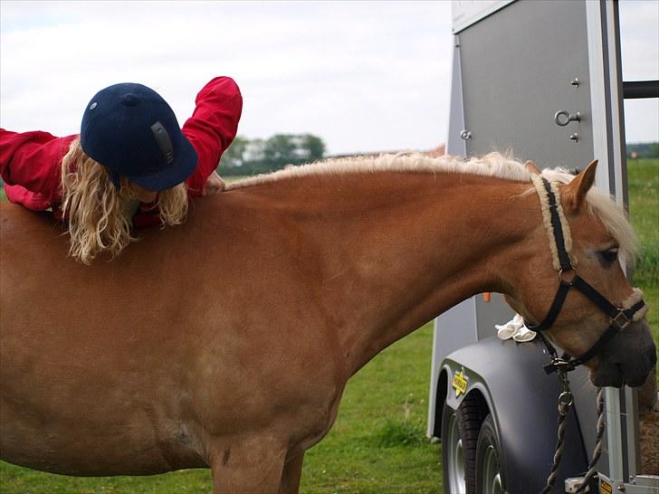 Sydjysk rideklub, rødekro - anne og lucky(: billede 118