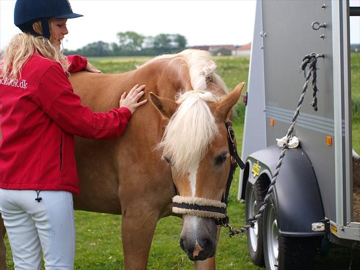 Sydjysk rideklub, rødekro - anne og lucky(: billede 119