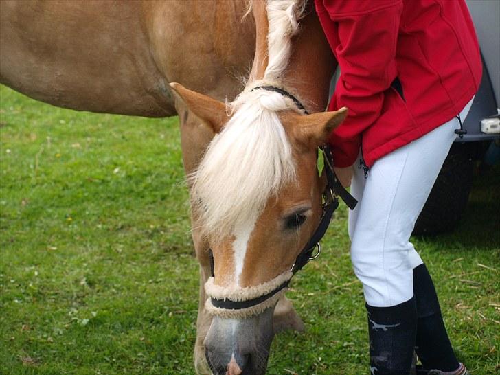 Sydjysk rideklub, rødekro - anne og lucky(: billede 120