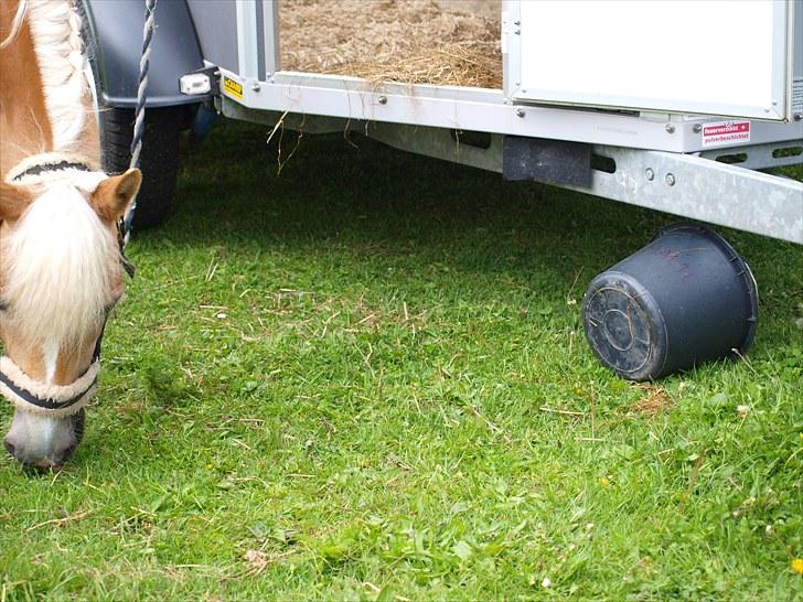 Sydjysk rideklub, rødekro - anne og lucky(: billede 133