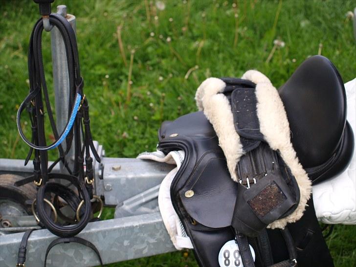 Sydjysk rideklub, rødekro - anne og lucky(: billede 135