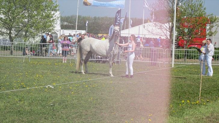 Candy&Simone, dyrskue Varde 2010 billede 2