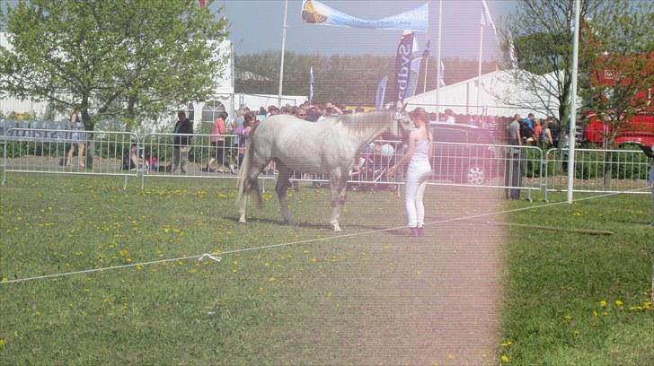 Candy&Simone, dyrskue Varde 2010 billede 3