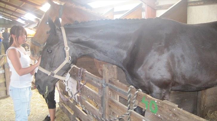 Candy&Simone, dyrskue Varde 2010 billede 40