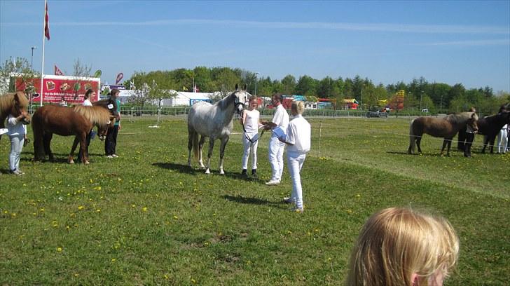 Candy&Simone, dyrskue Varde 2010 billede 54