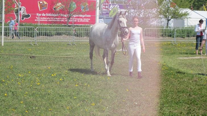 Candy&Simone, dyrskue Varde 2010 billede 57