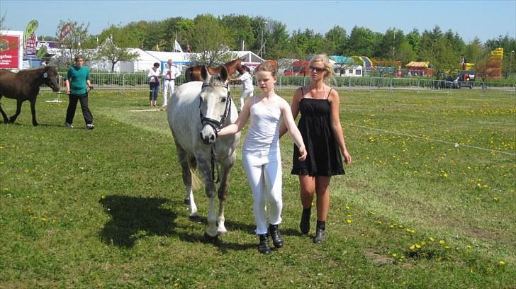 Candy&Simone, dyrskue Varde 2010 billede 58