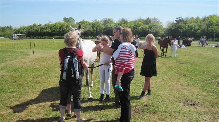 Candy&Simone, dyrskue Varde 2010 billede 59