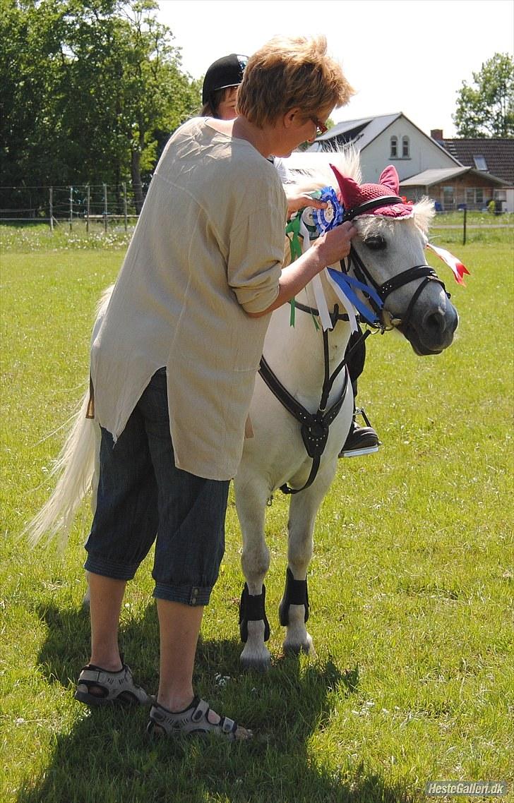 Lucky - Min anden pony Limelight fik 2. pladsen i klassen.
Derfor får Lucky 2 sløjfer billede 52