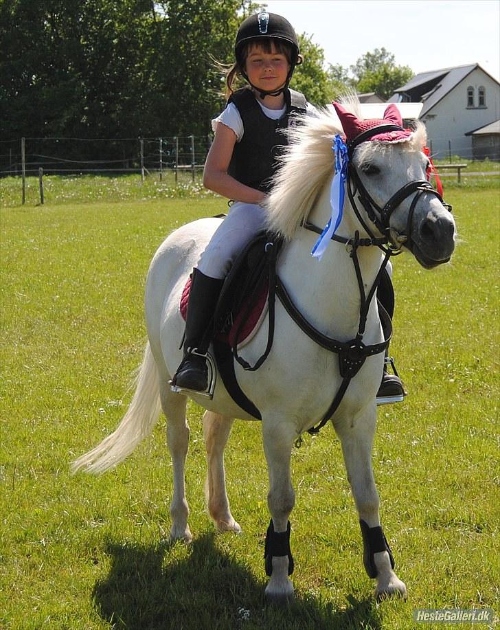 Lucky - Min anden pony Limelight fik 2. pladsen i klassen.
Derfor får Lucky 2 sløjfer billede 53