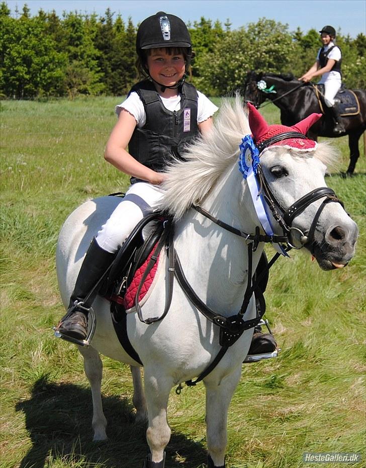 Lucky - Hinnitus 5/6 2010
Den blå sløjfe er Limelights (Lucky vandt) billede 68