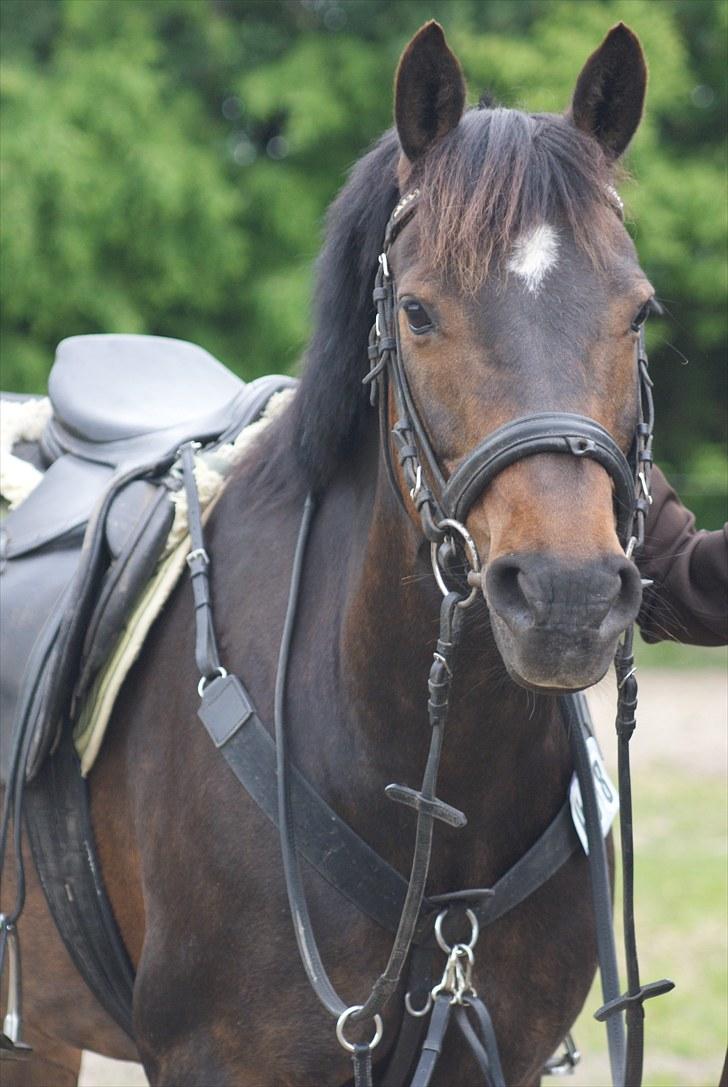 Charlotte og Destiny. billede 9