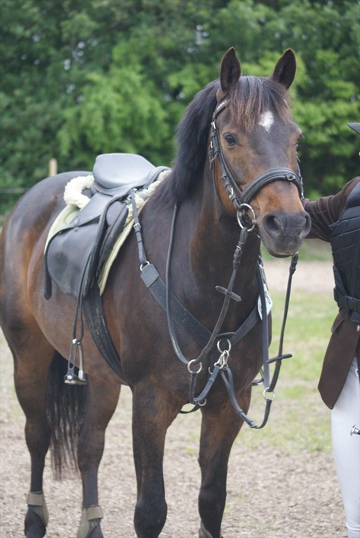 Charlotte og Destiny. billede 10