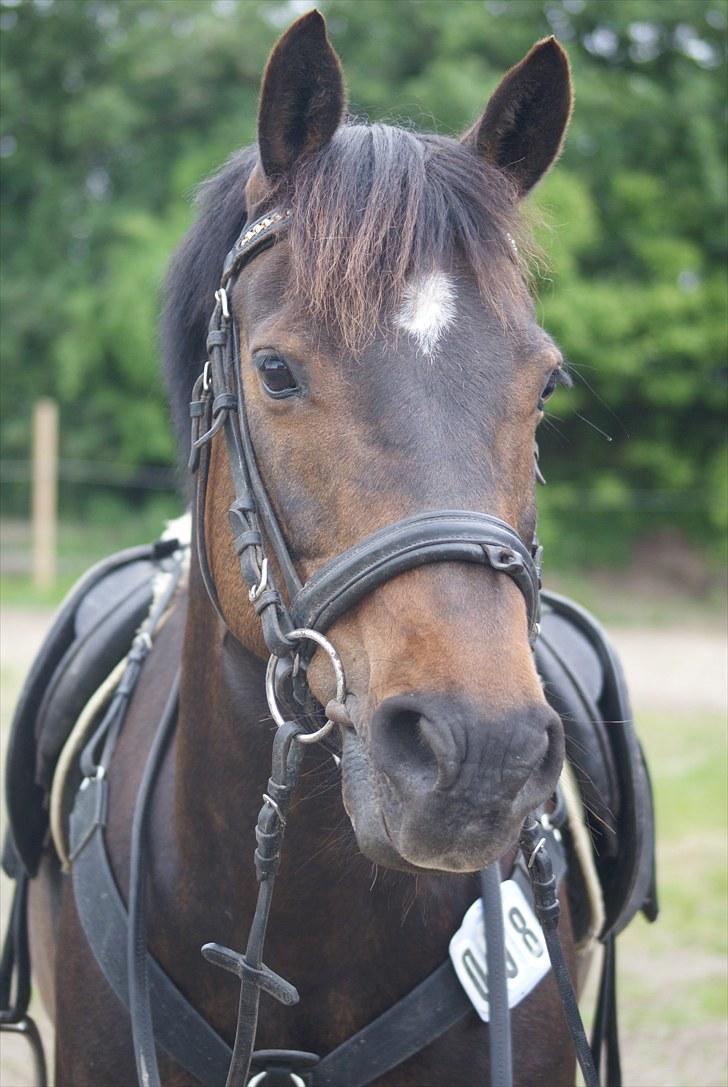 Charlotte og Destiny. billede 11