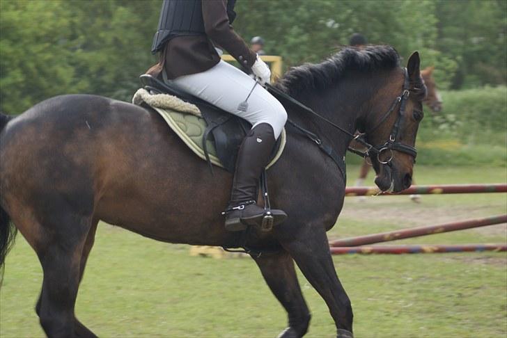 Charlotte og Destiny. billede 15