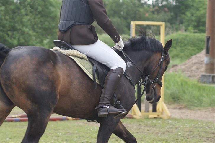 Charlotte og Destiny. billede 20