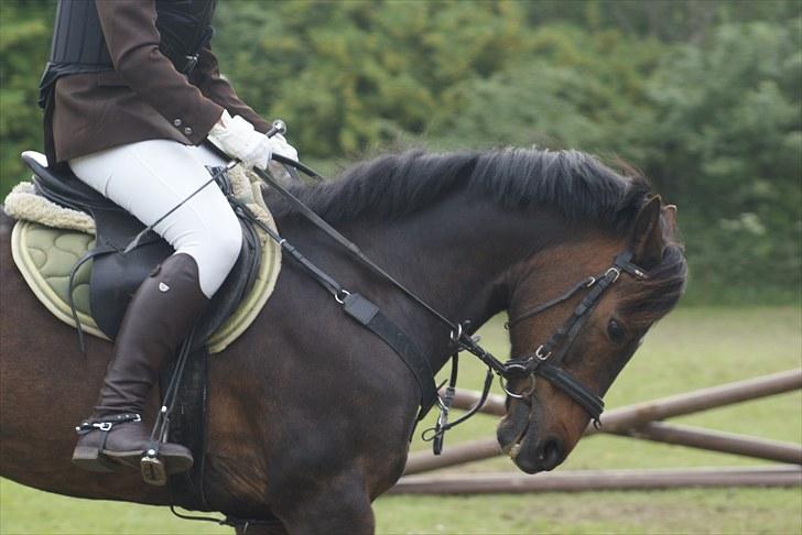 Charlotte og Destiny. billede 22