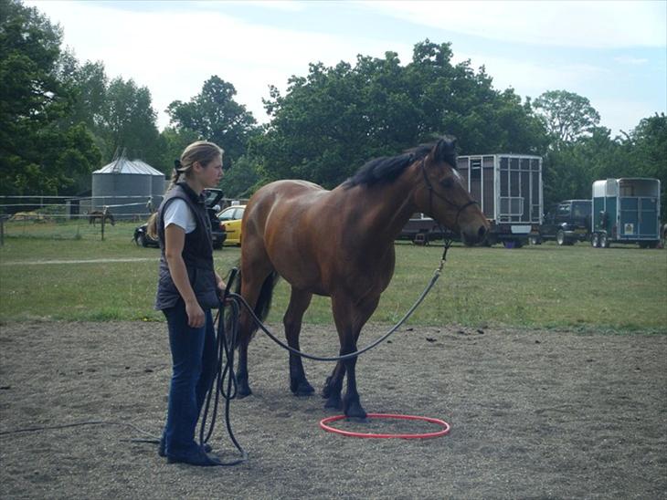 {{currentPhoto.altText}} billede {{currentPhoto.number}}