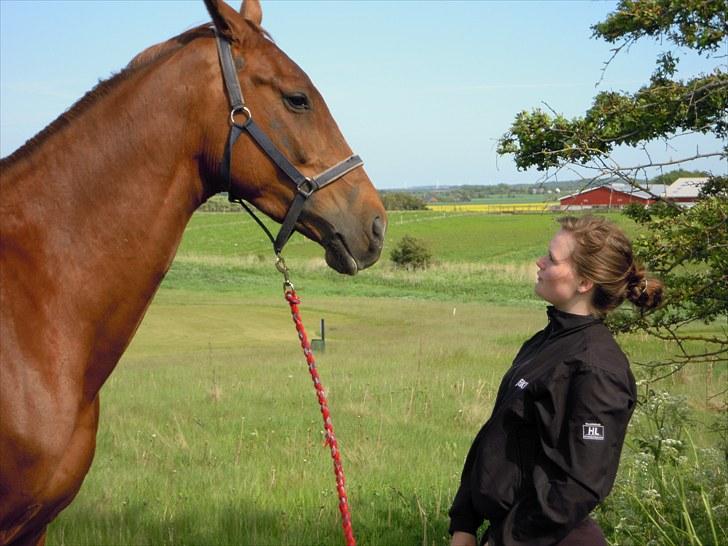 Sommer på Stald Rønbjerg billede 4