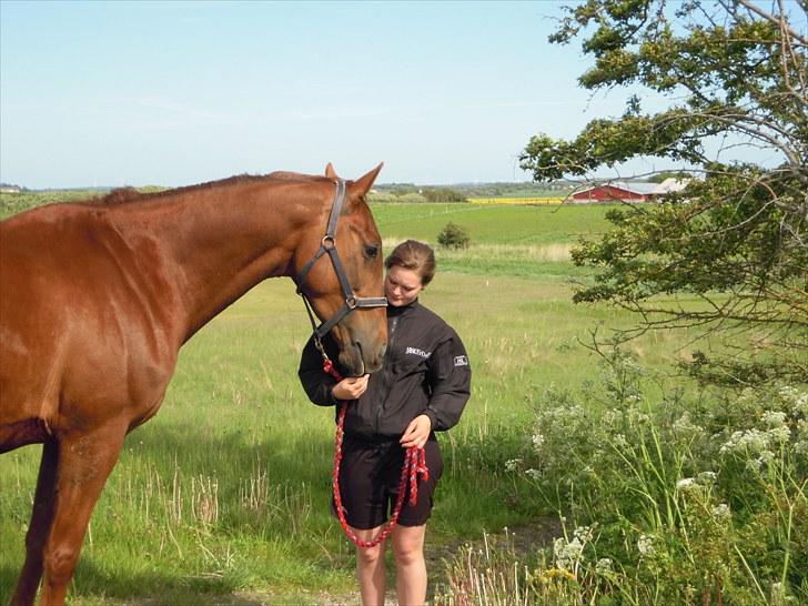 Sommer på Stald Rønbjerg billede 5