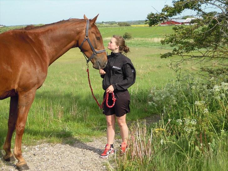 Sommer på Stald Rønbjerg billede 6