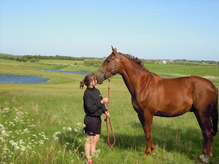 Sommer på Stald Rønbjerg billede 7