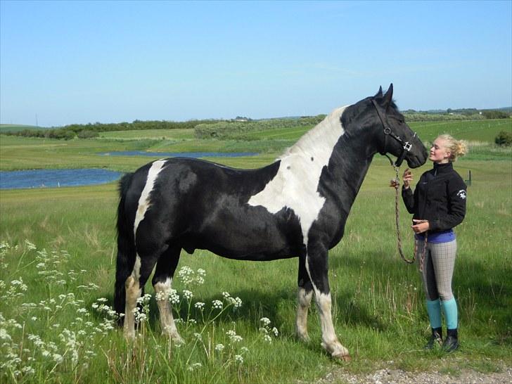 Sommer på Stald Rønbjerg billede 9