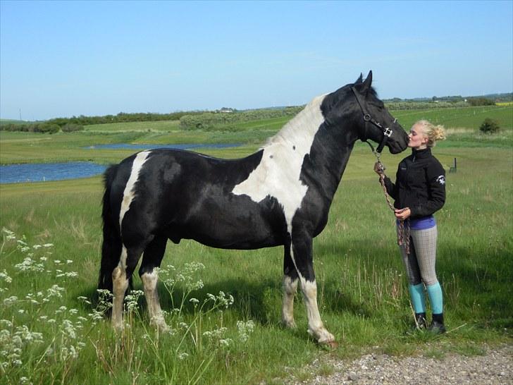 Sommer på Stald Rønbjerg billede 10