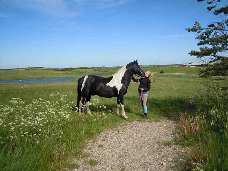 Sommer på Stald Rønbjerg billede 11