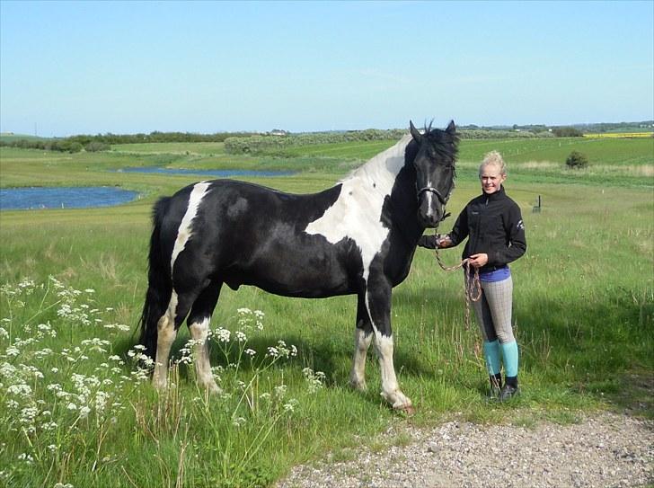 Sommer på Stald Rønbjerg billede 12