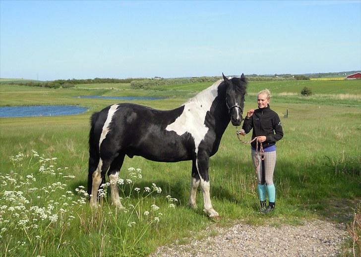 Sommer på Stald Rønbjerg billede 13