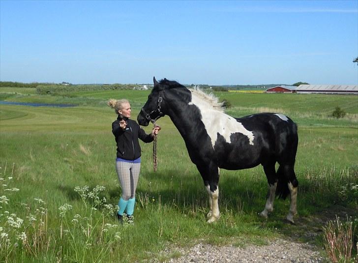 Sommer på Stald Rønbjerg billede 14
