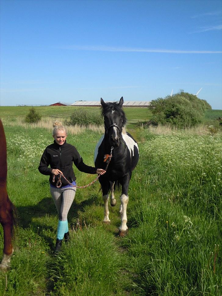 Sommer på Stald Rønbjerg billede 23