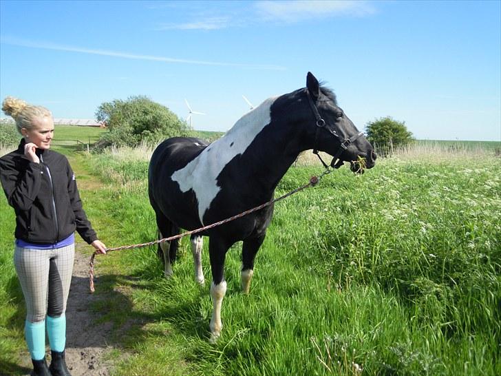 Sommer på Stald Rønbjerg billede 28