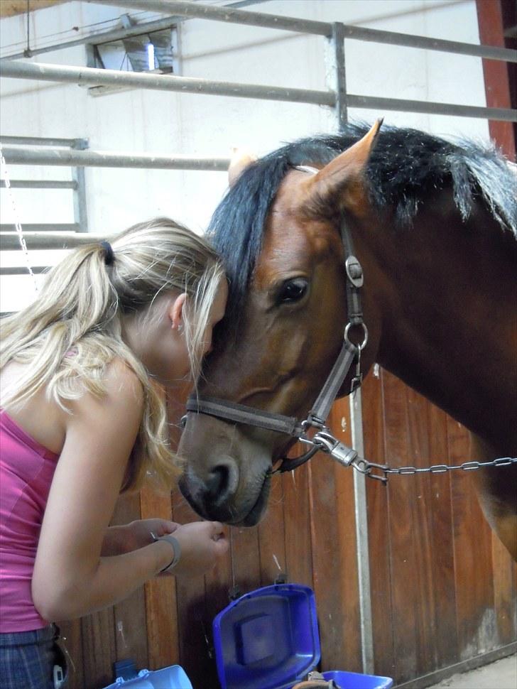 Sommer på Stald Rønbjerg billede 29