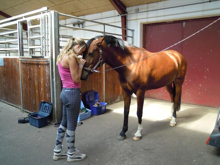 Sommer på Stald Rønbjerg billede 30