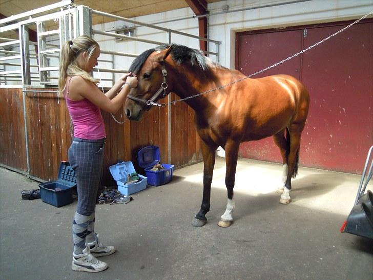 Sommer på Stald Rønbjerg billede 31