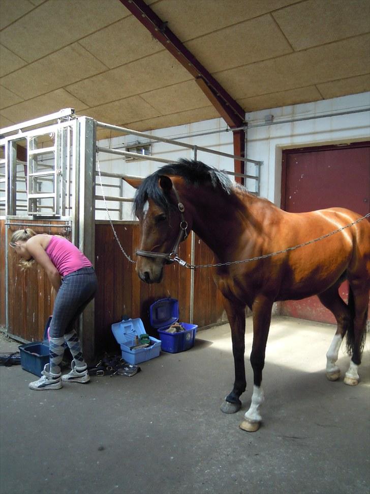 Sommer på Stald Rønbjerg billede 32