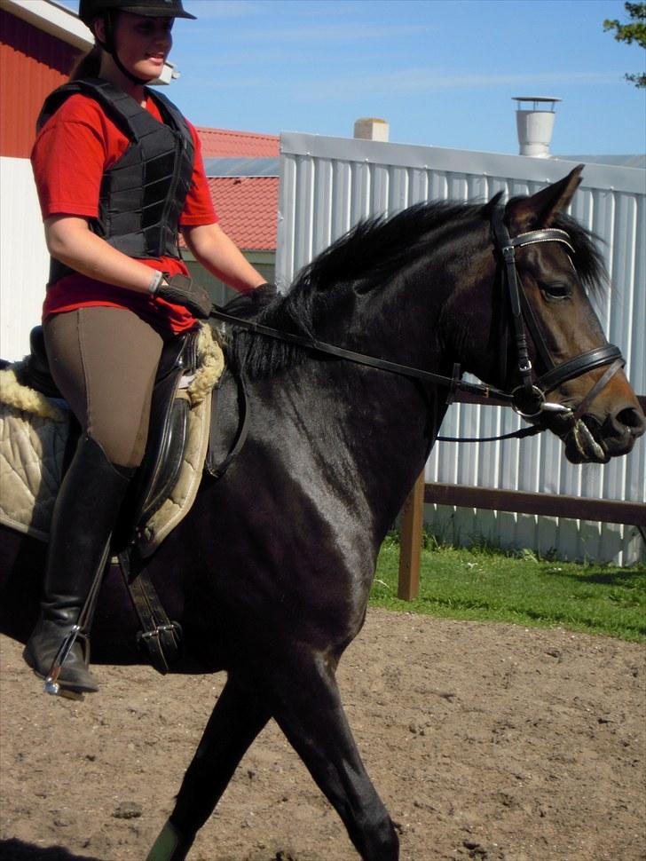 Sommer på Stald Rønbjerg billede 33