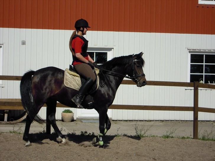 Sommer på Stald Rønbjerg billede 34