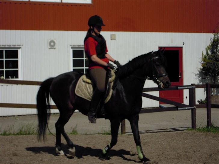 Sommer på Stald Rønbjerg billede 35