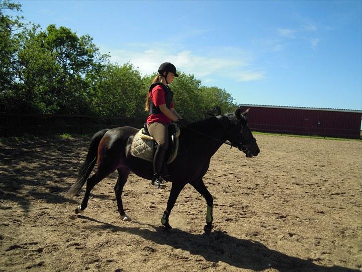 Sommer på Stald Rønbjerg billede 36