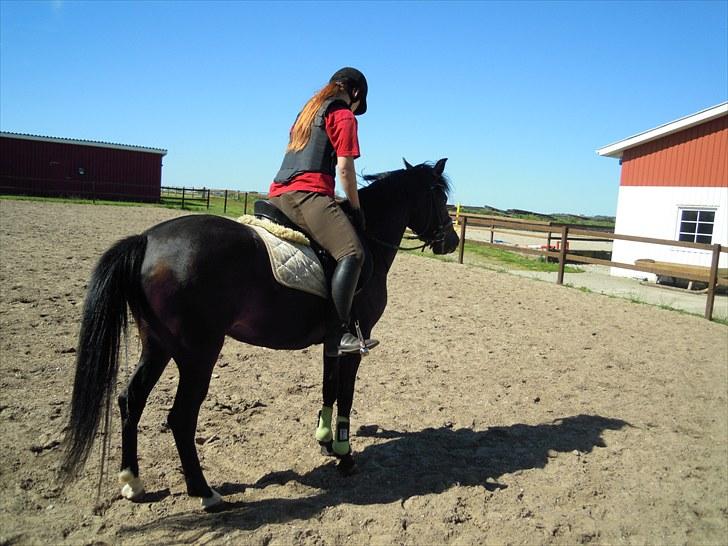 Sommer på Stald Rønbjerg billede 37
