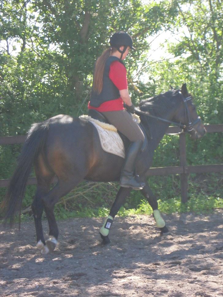 Sommer på Stald Rønbjerg billede 39